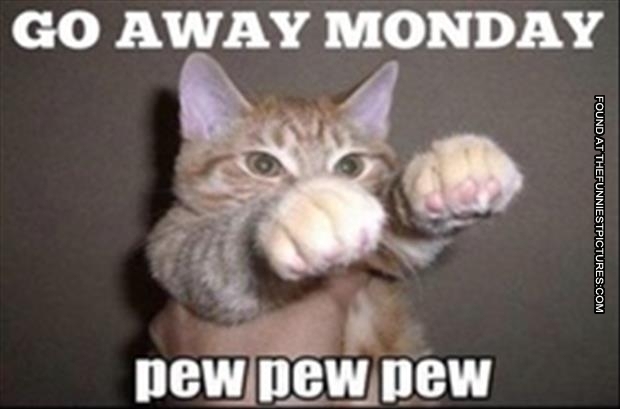 monday