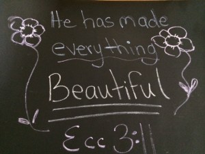 photo 1 (13)