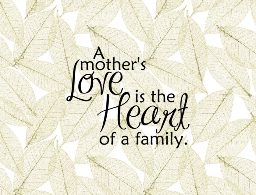 a mothers love sentiment