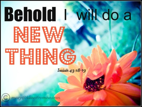 mary@kissesfromheaven is the copywrite of the featured image