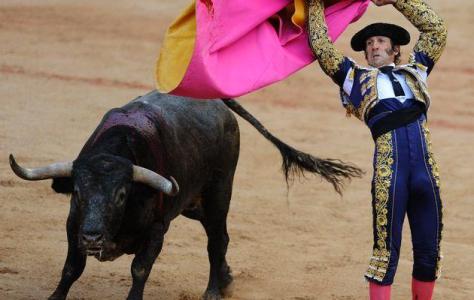 Dodge this leg, dodge that elbow