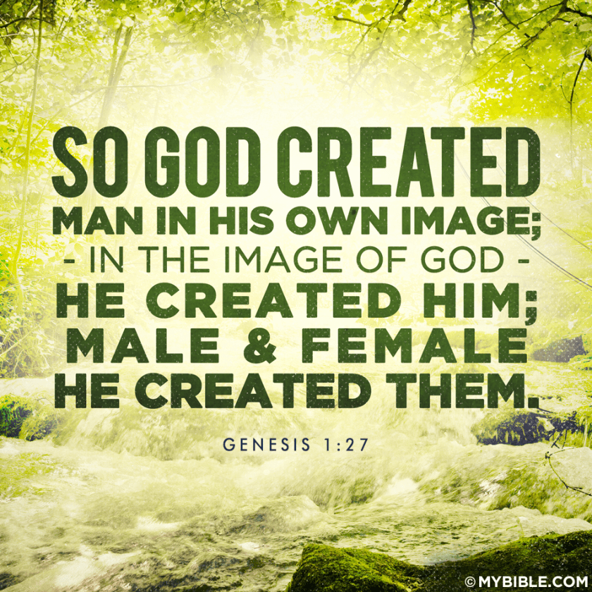 Genesis-1-27