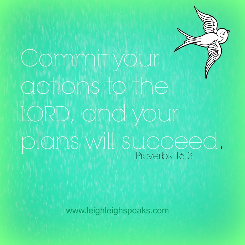 proverbs163
