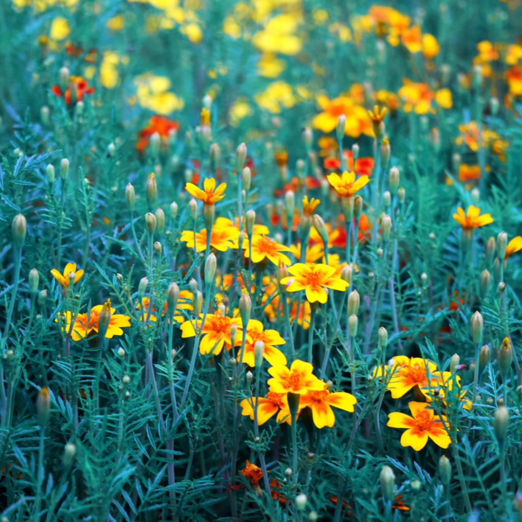 What is too powerful for&nbsp;God?