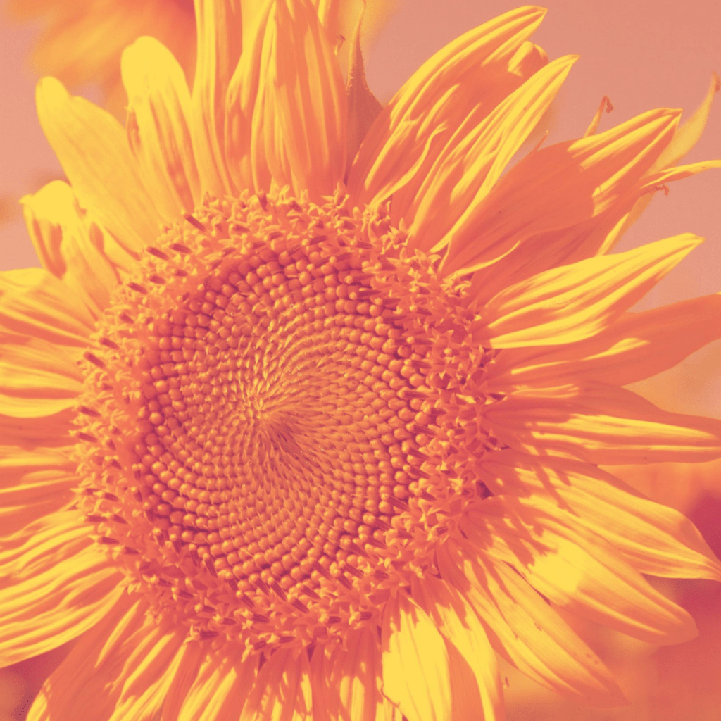 Revelation of God’s&nbsp;Strength