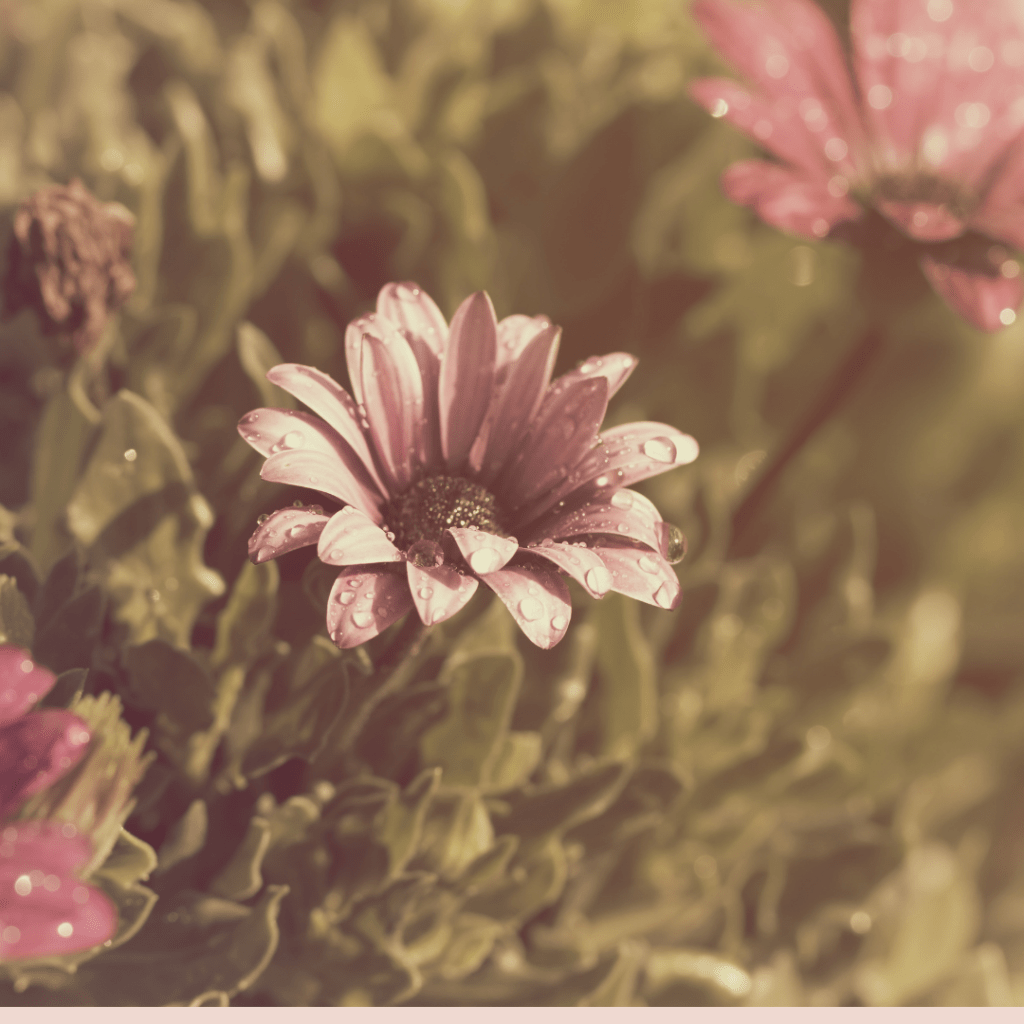 You Got to Let Go to&nbsp;Receive